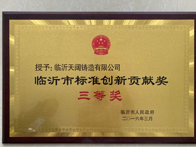 Linyi Standard Innovation Contribution Award