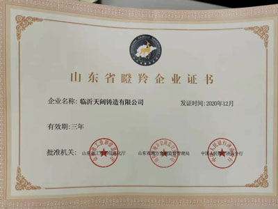 Shandong Province Gazelle Enterprise Certificate